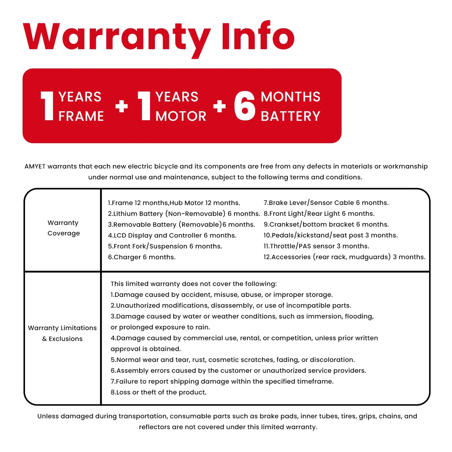 AMYET V9 G60 Electric Bike 1000W 48V Mountain Ebike