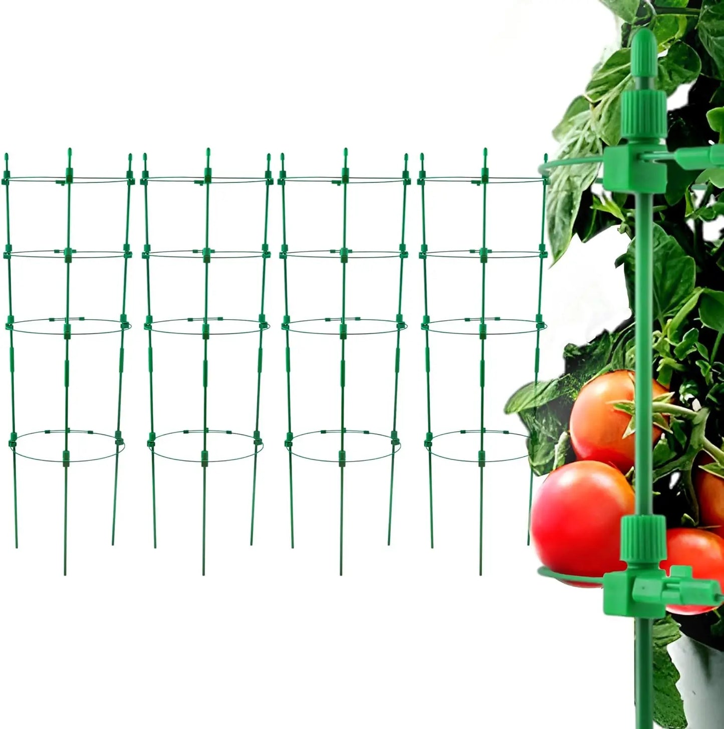 4 Pack Adjustable Tomato Cages, 36 Inch Plant Support Garden Trellis for Tomatoes, Cucumbers, Vegetables, Flowers, Roses