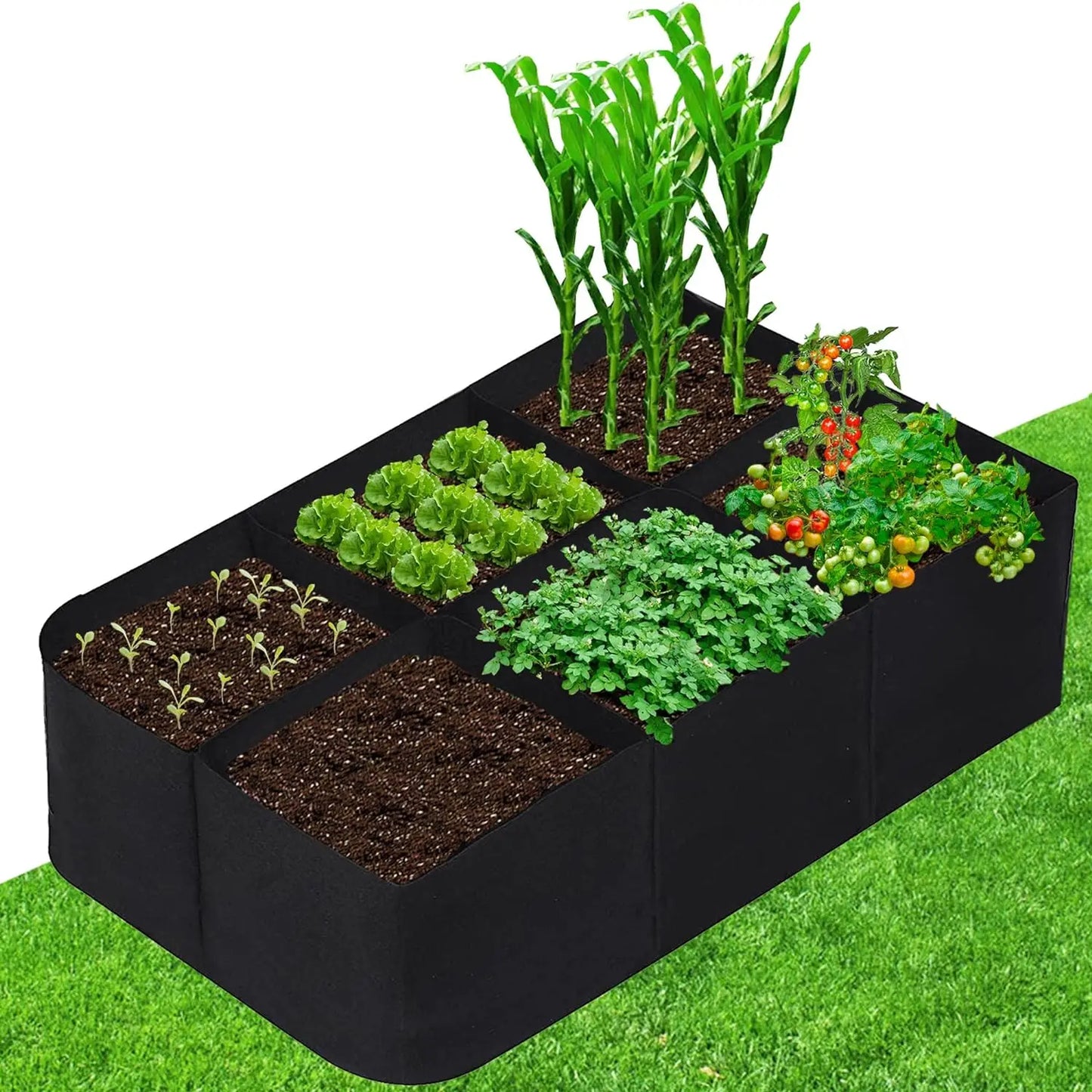 Fabric Raised Garden Bed 4x2x1ft Garden Grow Bed Bags for Growing Herbs, Flowers and Vegetables 55 Gallon