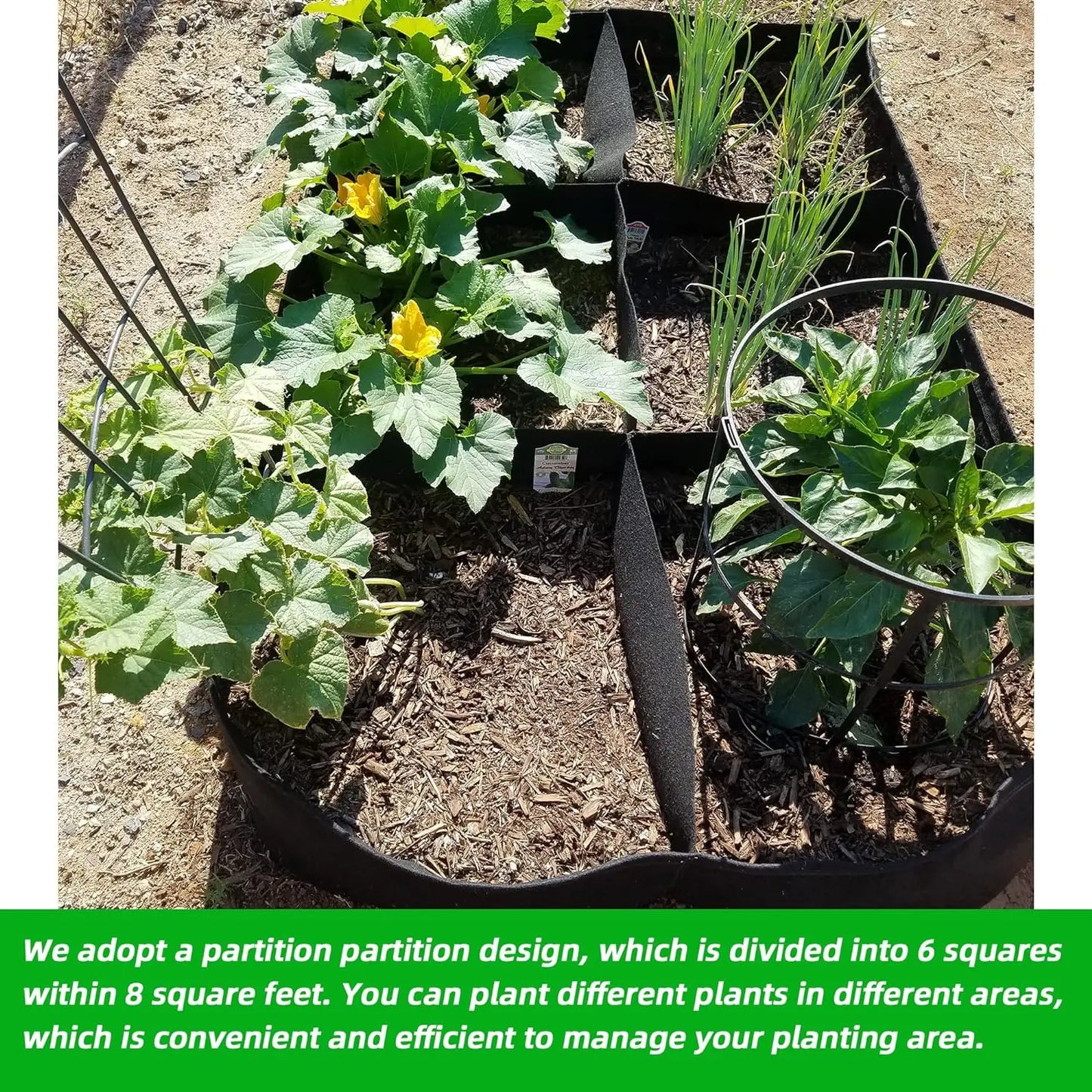 Fabric Raised Garden Bed 4x2x1ft Garden Grow Bed Bags for Growing Herbs, Flowers and Vegetables 55 Gallon