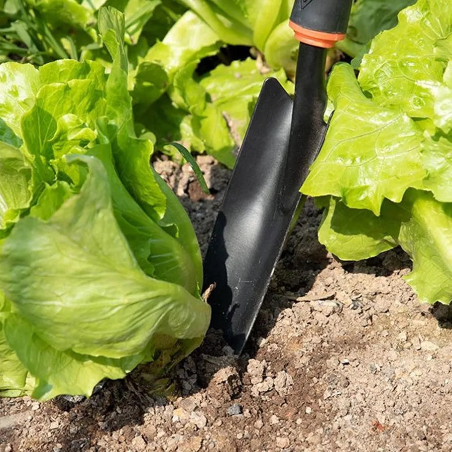 Garden Tool Set 7 Pieces for Outdoor Landscaping and Plant Care: Includes Two Shovels Rakes Cultivators and Transplanting Tools