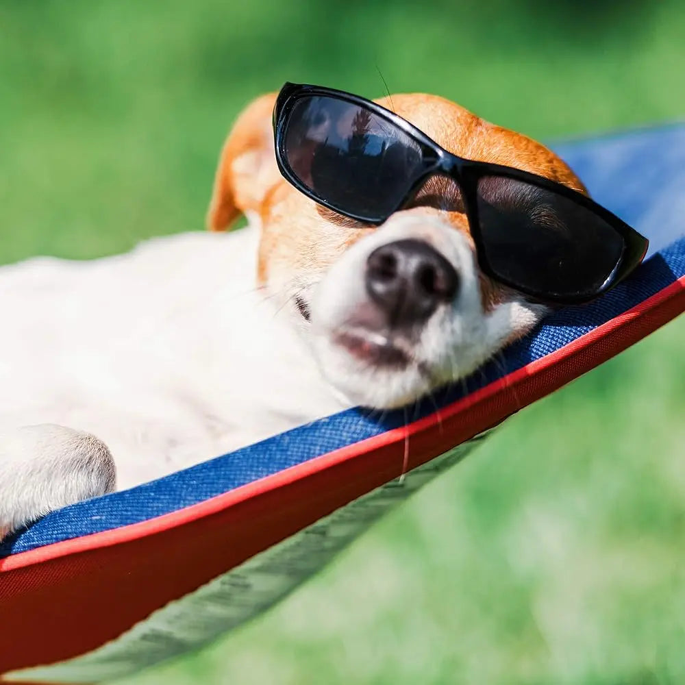 Hammock With Stand Included Portable Carry Bag Red