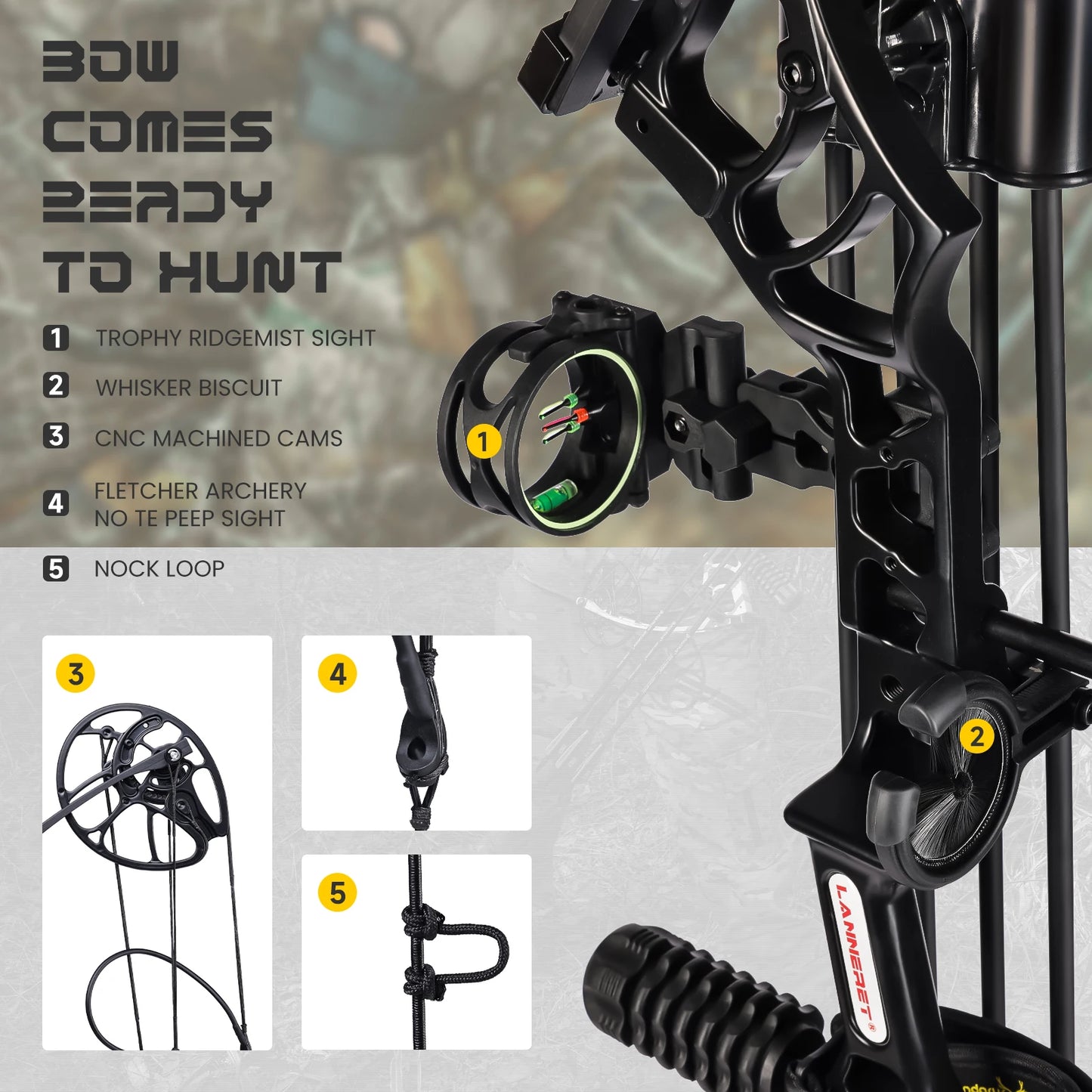 MOTION ZEUS Archery Ready to Hunt Compound Bow Package for Adults and Teens,0-70 Lbs 25"-31"Adjustable Shooting Practice Bow