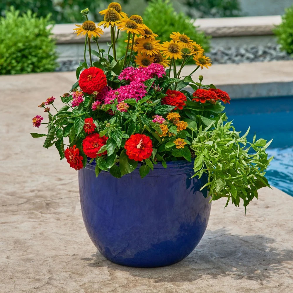 16 Inch Round Plant Pot Lightweight Weather Resistant Planter with Drainage Holes Indoor Outdoor Use Durable Polyethylene